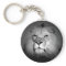Black & White Lion