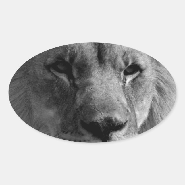 Black & White Lion Oval Sticker (Front)