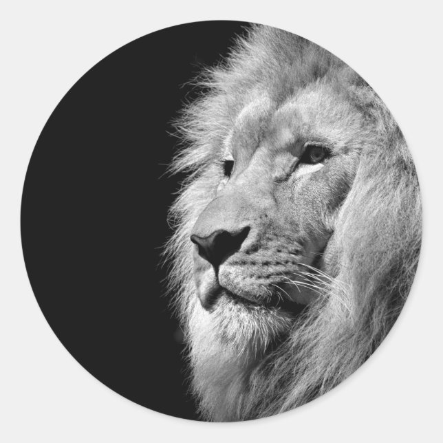 Black White Lion Portrait - Animal Photography Classic Round Sticker (Front)