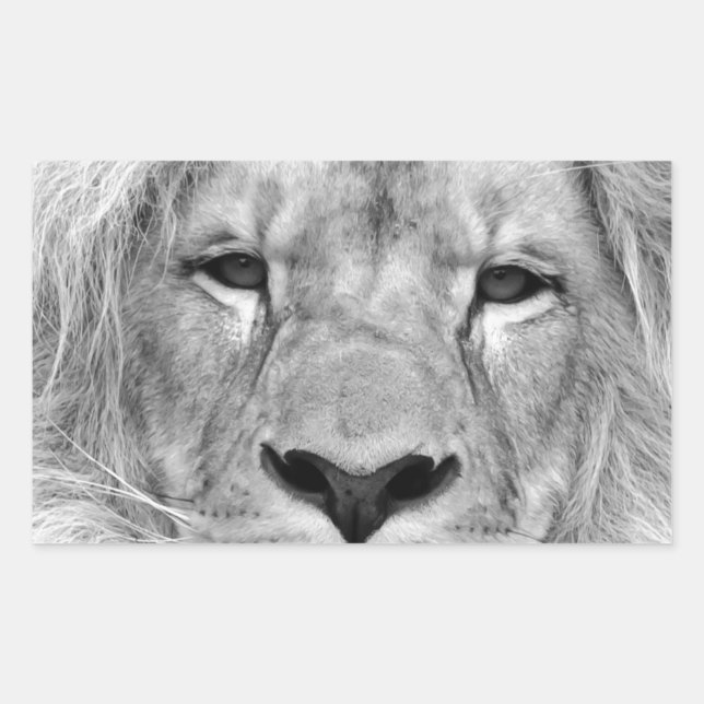 Black & White Lion Sticker (Front)