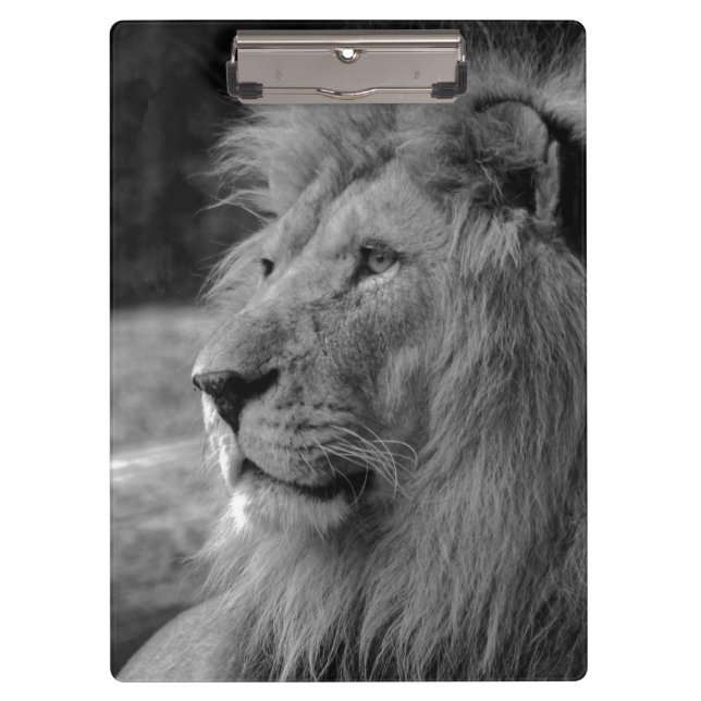 Black & White Lion - Wild Animal Clipboard (Front)