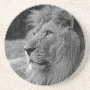 Black & White Lion - Wild Animal Coaster