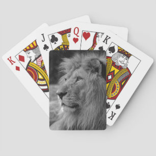 Black & White Lion - Wild Animal Playing Cards
