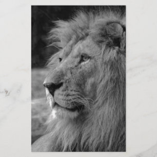 Black & White Lion - Wild Animal Stationery