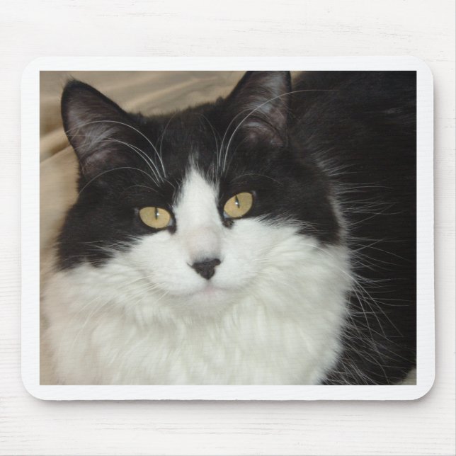 Black & White Longhaired Cat Closeup Mouse Pad (Front)