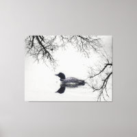 Black white loon lake Canvas