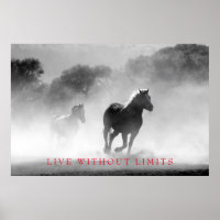 Black White Motivational Horse Live Without Limits