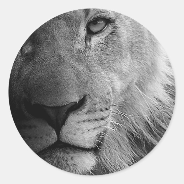 Black White Motivational Leadership Lion Portrait Classic Round Sticker (Front)