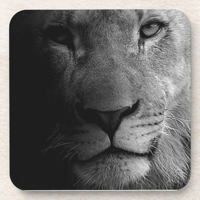 Black White Motivational Leadership Lion Portrait Coaster (Front)