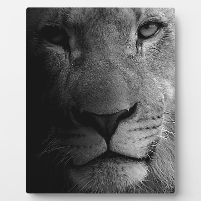 Black White Motivational Leadership Lion Portrait Plaque (Front)