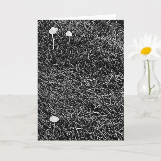 Black & White Mushrooms in Grass Photo Card (Small Plant)