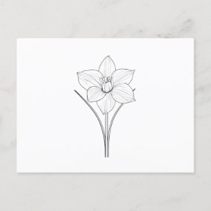 Black White Narcissus Line Art Postcard