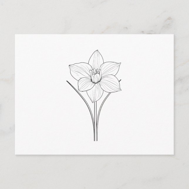 Black White Narcissus Line Art Postcard (Front)