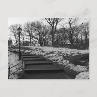 Black White NY Central Park Postcard