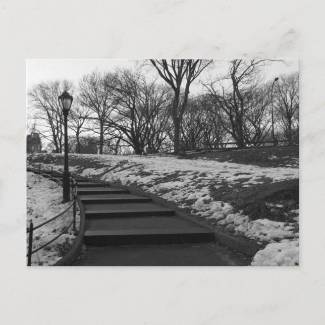 Black White NY Central Park Postcard (Front)