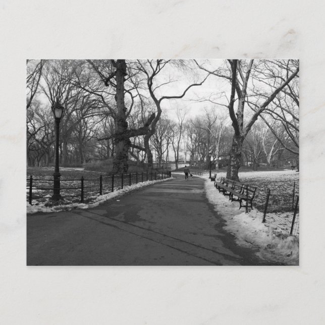 Black White NY Central Park Postcard (Front)