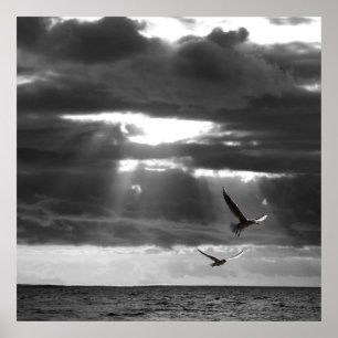 Black & White Ocean  Poster