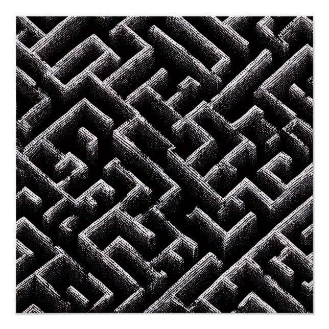 Black & White Optical Illusion Maze Pattern Art Poster (Front)