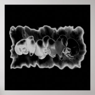 Black White Orchid painting tropical floral Throw  Poster