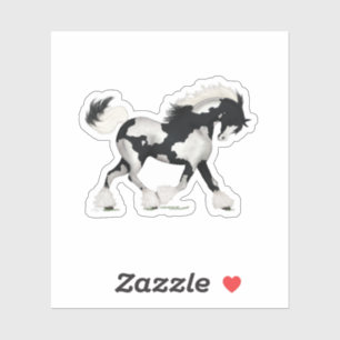 Black & White Overo Gypsy Vanner Horse Pony