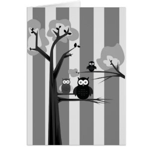 Black & White Owls