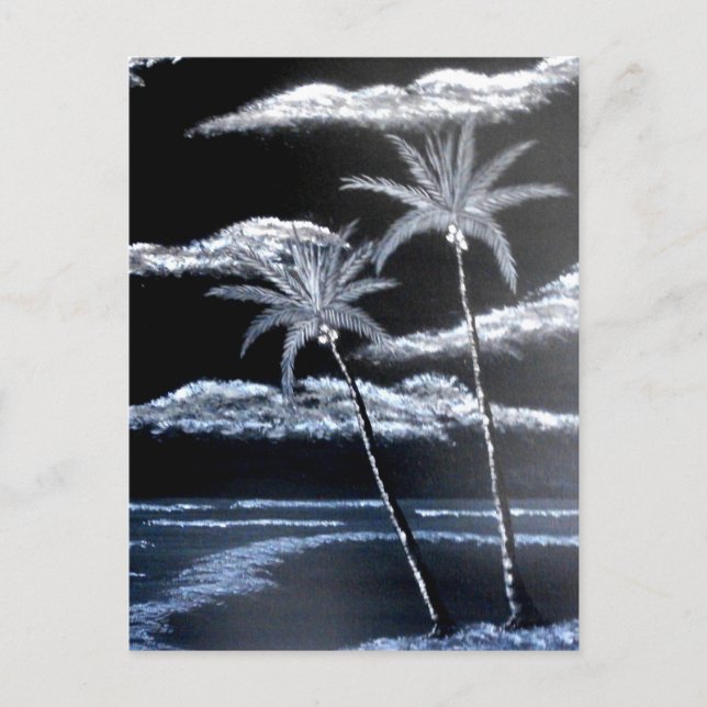 Black & White Palm Trees Postcard (Front)