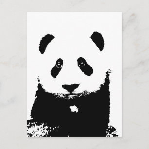 Black & White Panda Postcard