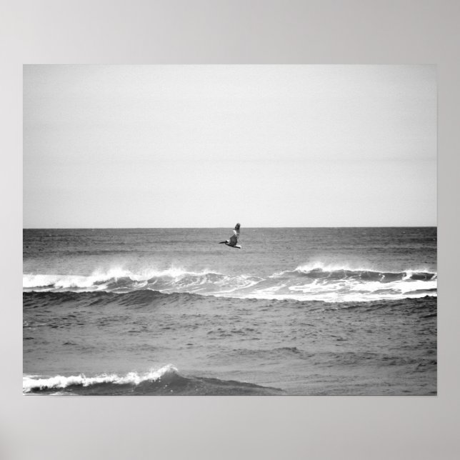 Black & White Pelican Flying Over the Ocean 16x20 Poster (Front)