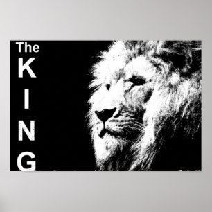 Black White Photo Lion Template Nature Animal Poster