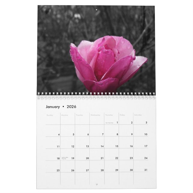Black & White Photography with Colour Accents Calendar (Jan 2026)