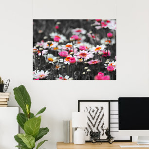 Black White Pink Flower Garden Monochrome  Poster