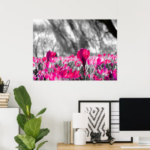 Black White Pink Flower Monochrome Poster