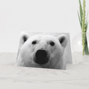 Black & White Polar Bear Card