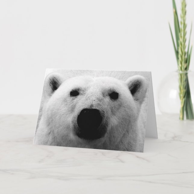 Black & White Polar Bear Card (Front)