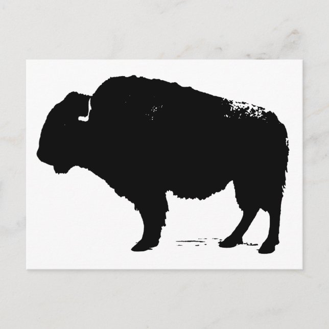 Black & White Pop Art Buffalo Bison Postcard (Front)