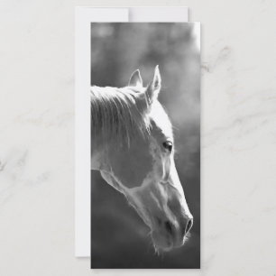 Black & White Pop Art Horse