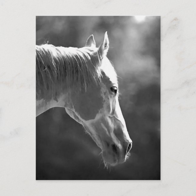 Black & White Pop Art Horse Postcard (Front)