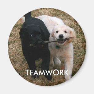 Black & white puppies magnet