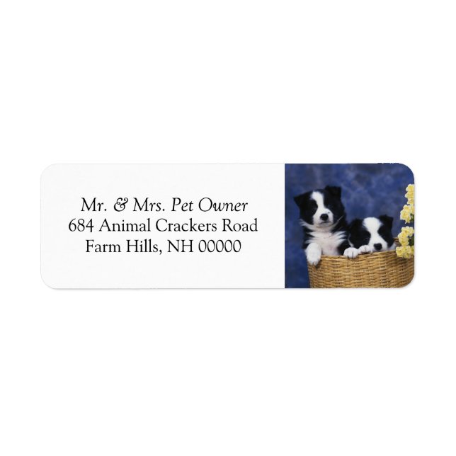 Black White Puppies Retourner Adresse E-mail Stick (Devant)
