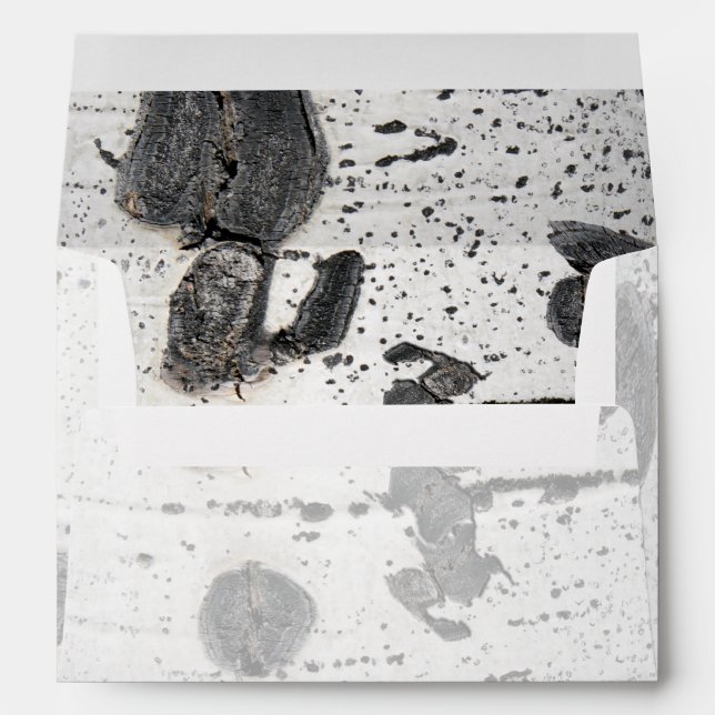 Black White Quaking Aspen Bark Inside & Out Envelopes (Back (Bottom))