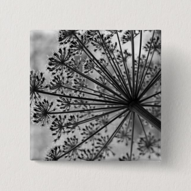 Black & White Queen Anne's Lace 2 Inch Square Button (Front)