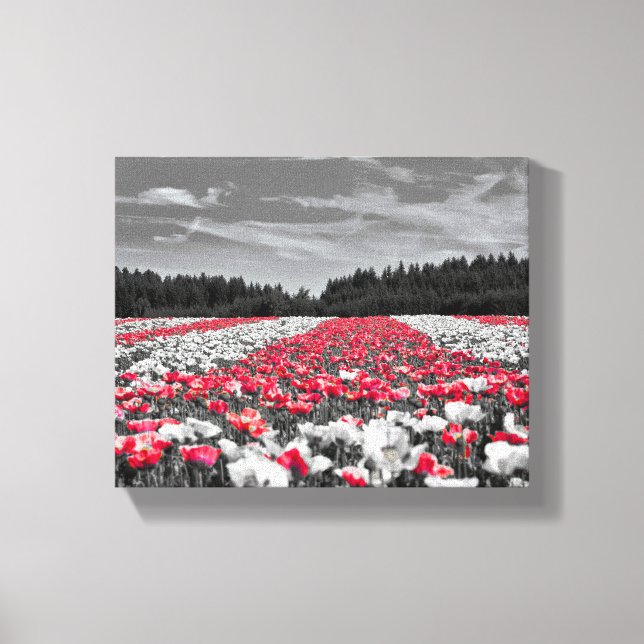 Black White Red Flower Canvas Print (Front)