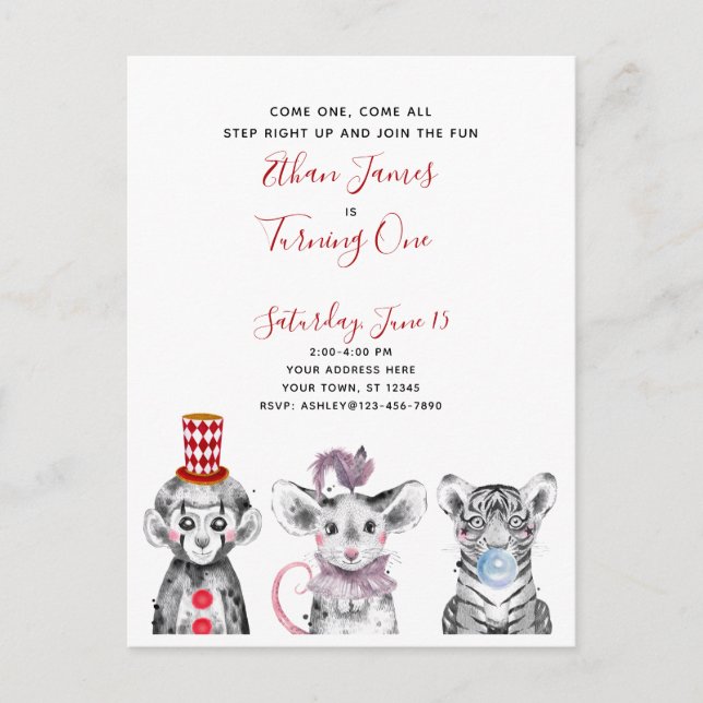 Black White Red Script Circus 1st Birthday Party Invitation Postcard (Front)