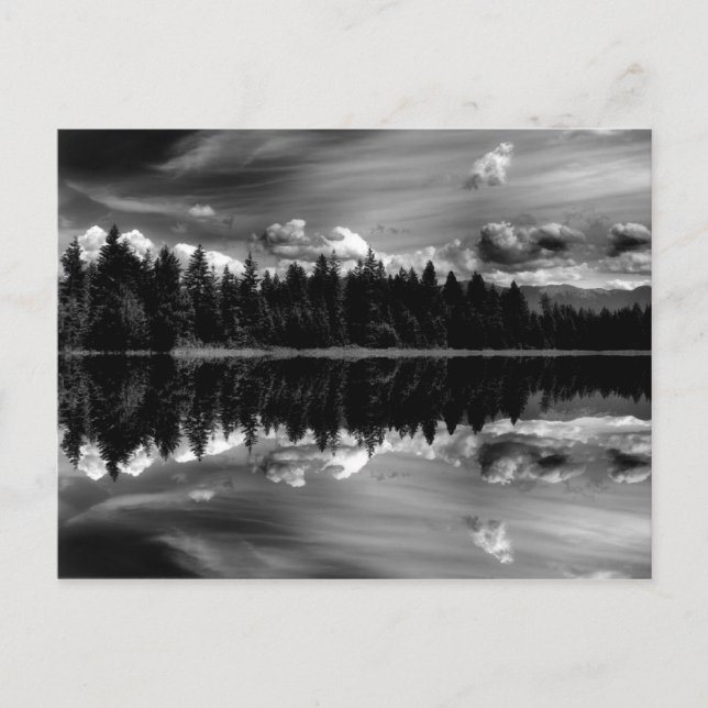 Black & White Reflections Post Card (Front)