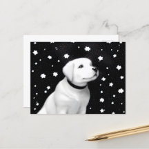 Black & White Retro Puppy & Stars