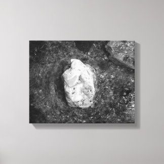 Black & White Rock in the Lake Water 11x14 Canvas Print