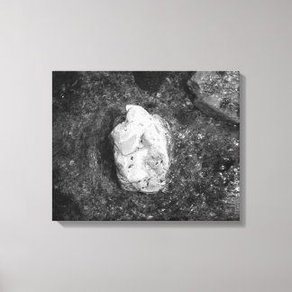 Black & White Rock in the Lake Water 16x20 Canvas Print