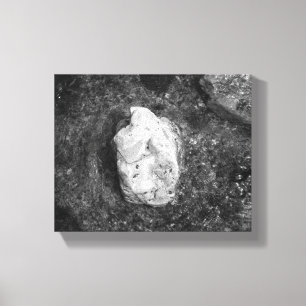 Black & White Rock in the Lake Water 8x10 Canvas Print