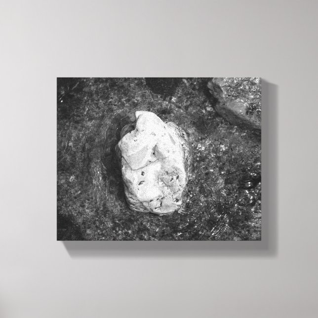 Black & White Rock in the Lake Water 8x10 Canvas Print (Front)