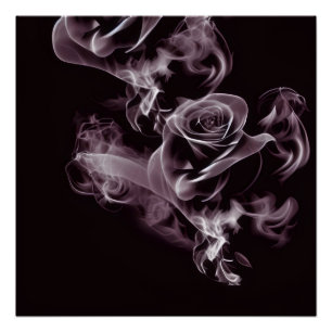 Black - white rose - abstract. poster